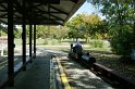 IMGP5852