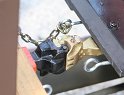 IMG_0771
