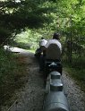 IMG_1446