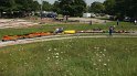 IMG_2226
